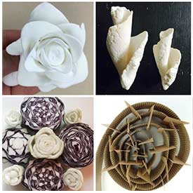 Spirals in Nature: Fibonacci and Beyond