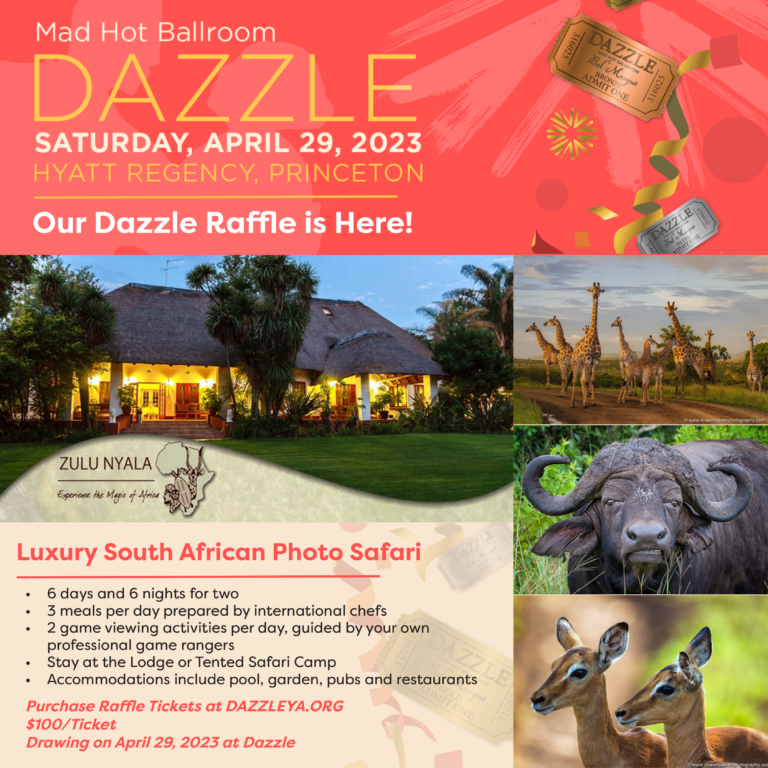 Our Dazzle Raffle is Here! Tickets Now Available!